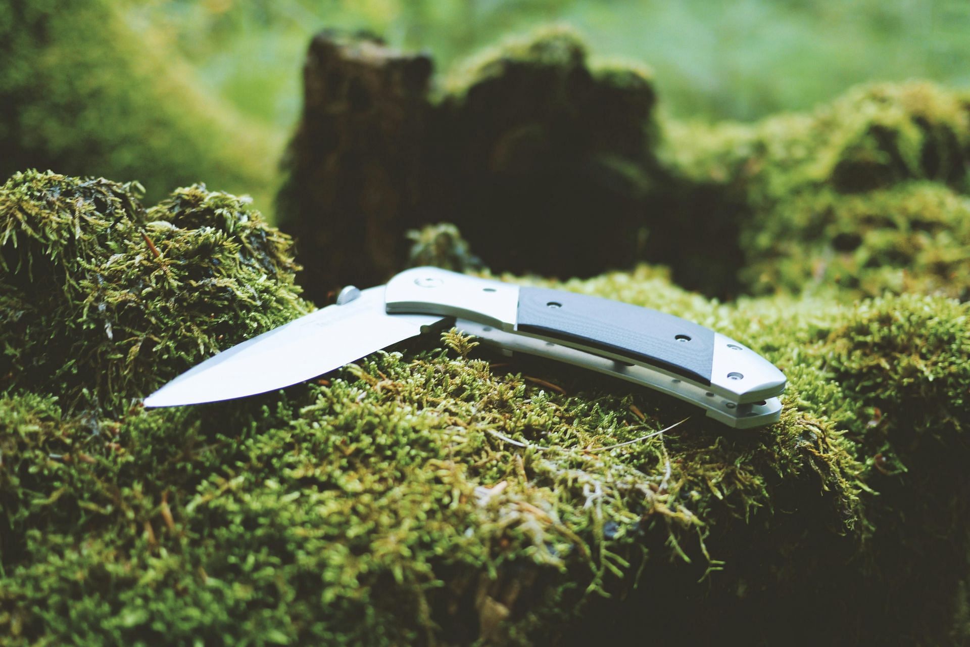 Cathy McNaughton was stabbed 30 times and had defensive wounds (Image via Pexels)